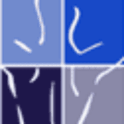 Posture Perfect Wellness Center logo